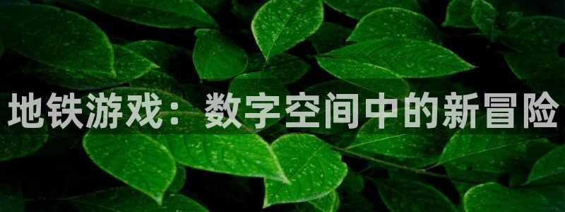 鼎点娱乐登陆：地铁游戏：数字空间中的新冒险