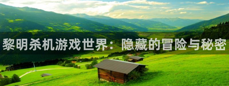 鼎点娱乐怎么注册：黎明杀机游戏世界：隐藏的冒险与秘密