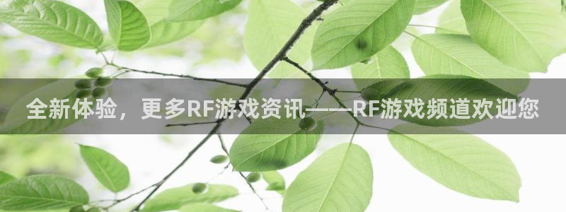 鼎点娱乐注册测速：全新体验，更多RF游戏资讯——RF游戏频道