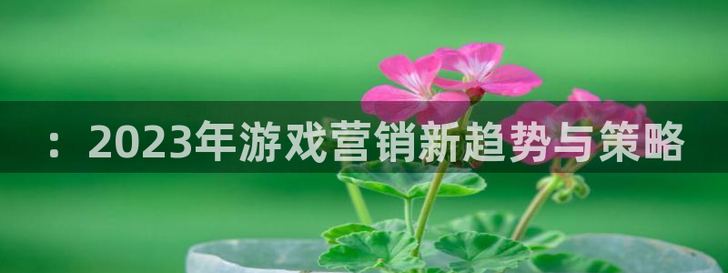 鼎点娱乐平台：：2023年游戏营销新趋势与策略