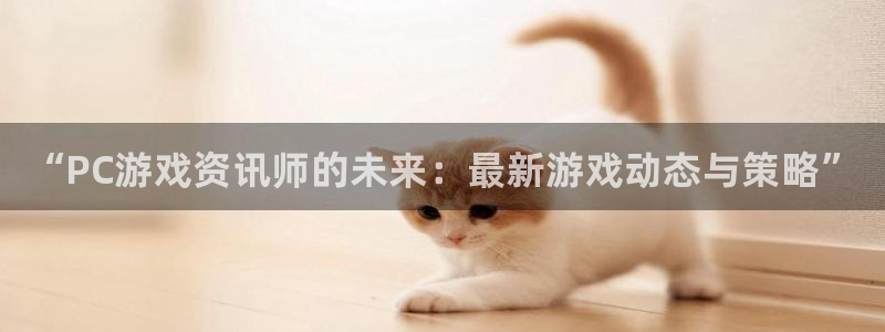 鼎点娱乐平台官方网站：“PC游戏资讯师的未来：最新游戏动态与