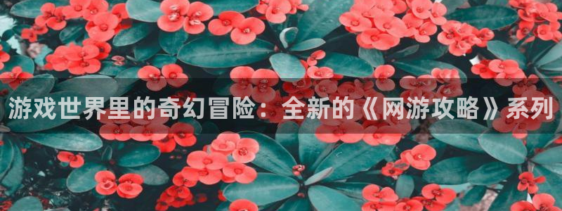 鼎点娱乐平台注册资金多少：游戏世界里的奇幻冒险：全新的《网游