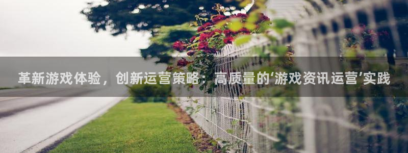 鼎点娱乐是什么：革新游戏体验，创新运营策略：高质量的‘游戏资