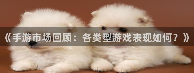 鼎点娱乐app下载地址：《手游市场回顾：各类型游戏表现如何？