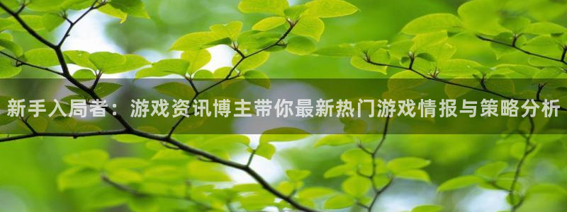 鼎点娱乐4开户