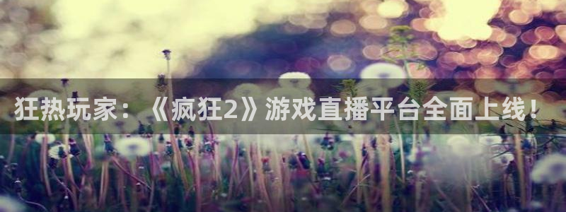 鼎点娱乐登陆地址：狂热玩家：《疯狂2》游戏直播平台全面上线！