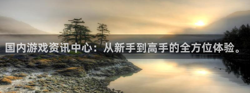 鼎点娱乐线路测试：国内游戏资讯中心：从新手到高手的全方位体验