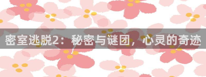 鼎点娱乐4招商：密室逃脱2：秘密与谜团，心灵的奇迹
