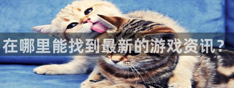 鼎点娱乐平台官网客服电话