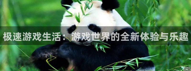 鼎点娱乐开户测速：极速游戏生活：游戏世界的全新体验与乐趣