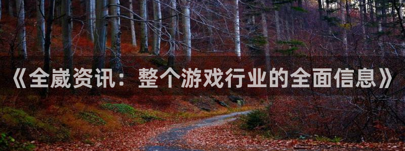 鼎点娱乐注册地址：《全崴资讯：整个游戏行业的全面信息》