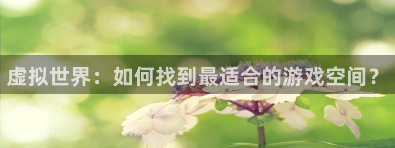 鼎点娱乐登陆地址：虚拟世界：如何找到最适合的游戏空间？