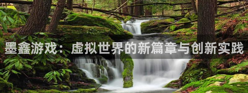 鼎点娱乐科技：墨鑫游戏：虚拟世界的新篇章与创新实践