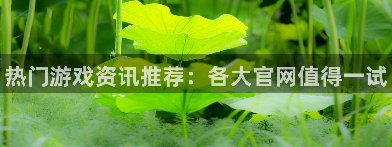 鼎点娱乐平台登入