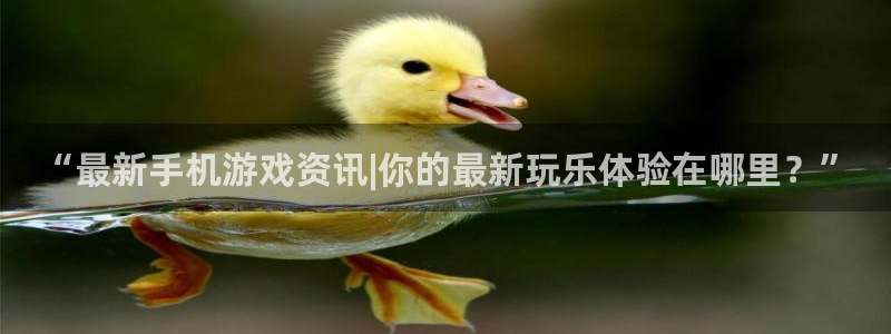 鼎点娱乐客服电话24小时热线