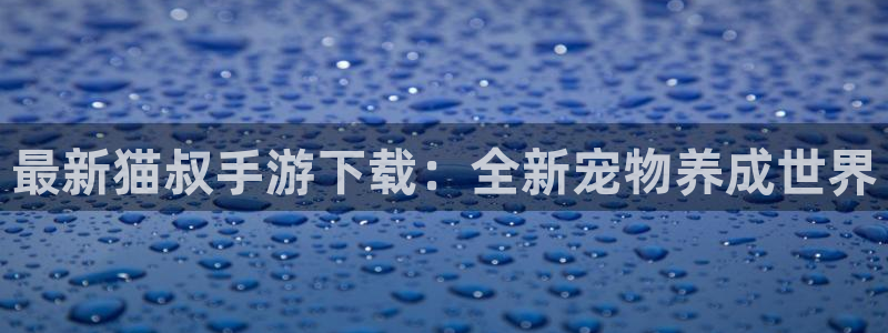 鼎点娱乐负责人怎么样
