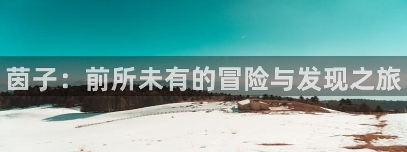 鼎点娱乐app最新版本更新内容是什么