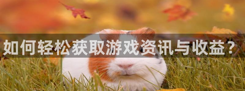 鼎点娱乐前.93O79最新版更新内容：如何轻松获取游戏资讯与